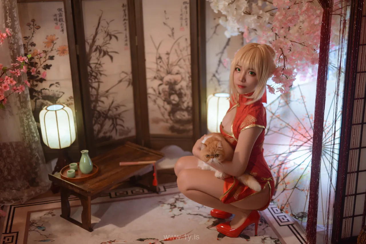 Nisa（二佐） Vol.012 Exquisite & Decent Chinese Girl Fate尼禄旗袍