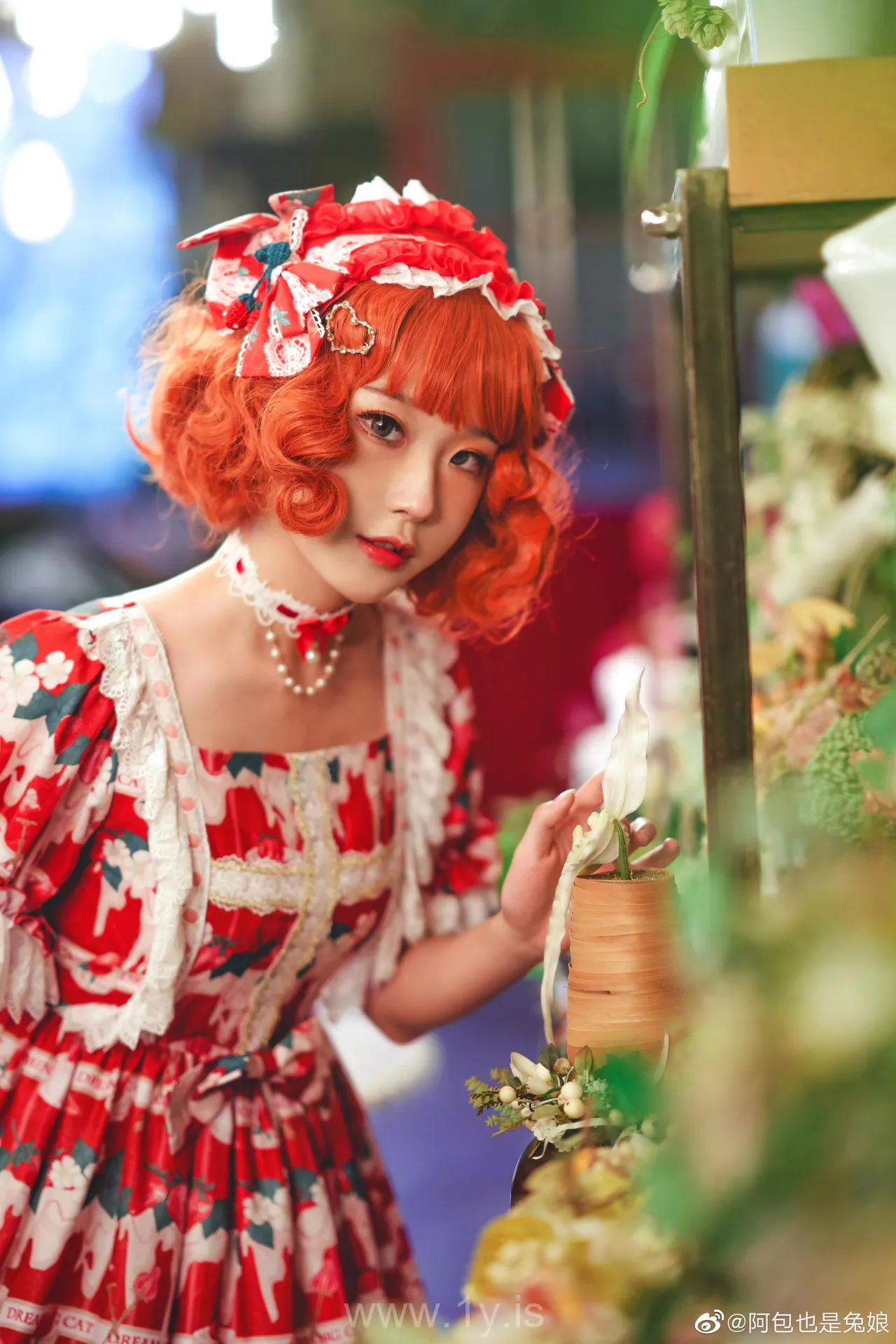 阿包也是兔娘 NO.12 lolita红裙