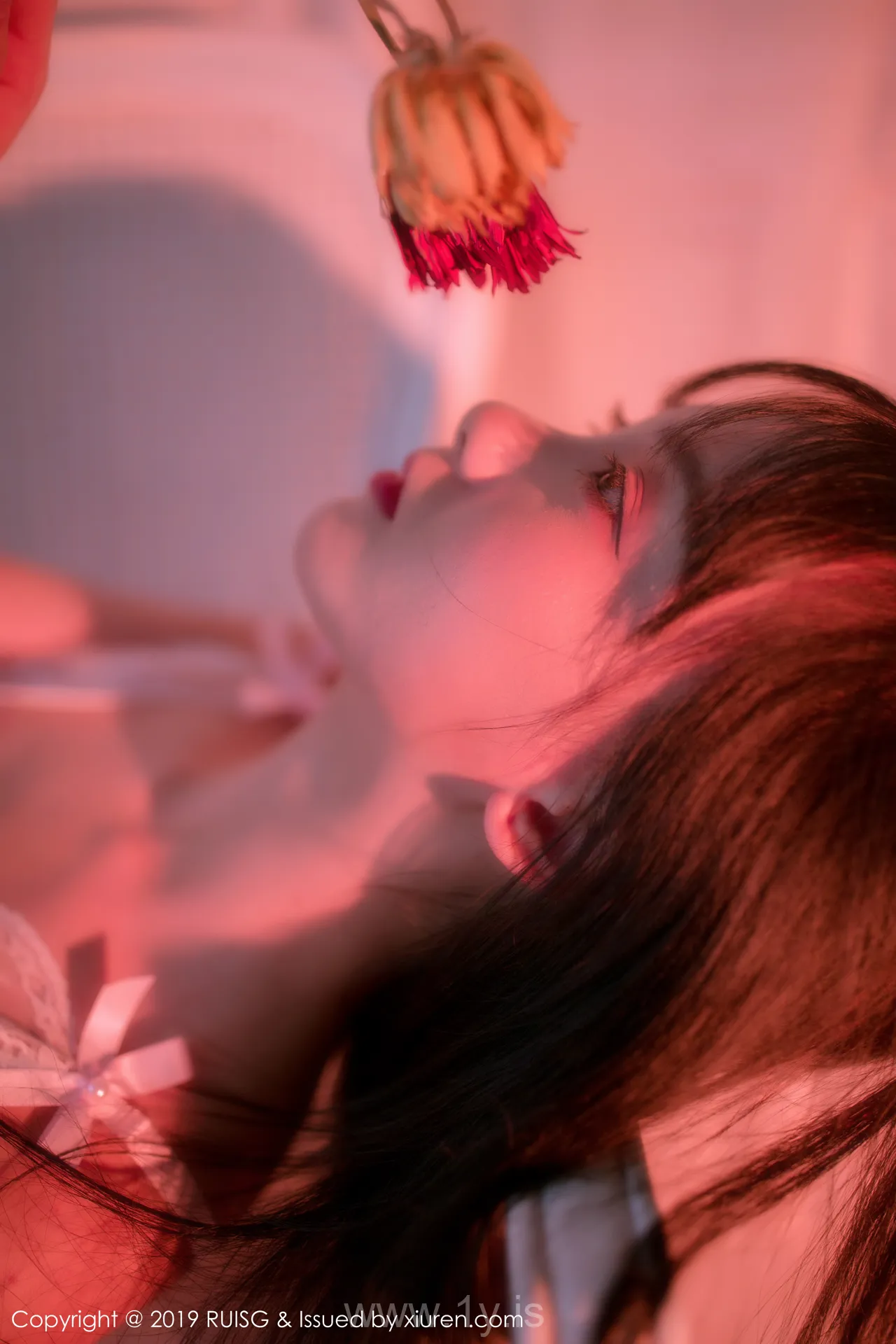 猫萌榜 VOL.079小葡萄miki