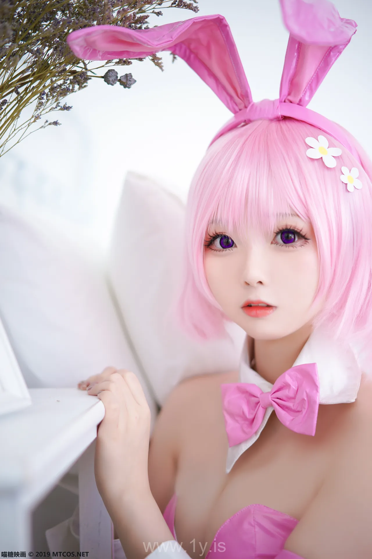 喵糖映画 VOL.057嶋葵梦梦兔女郎