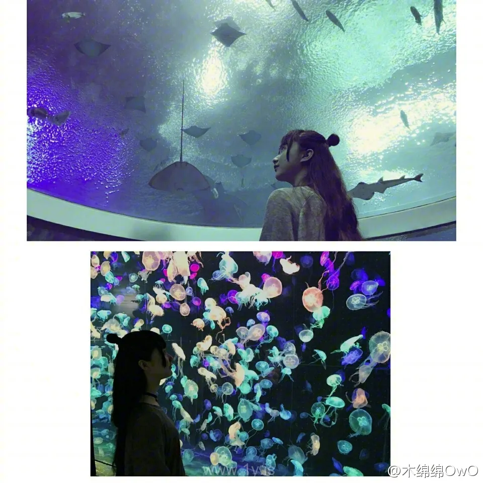 木绵绵OwO全套 VOL.029微博图片合集