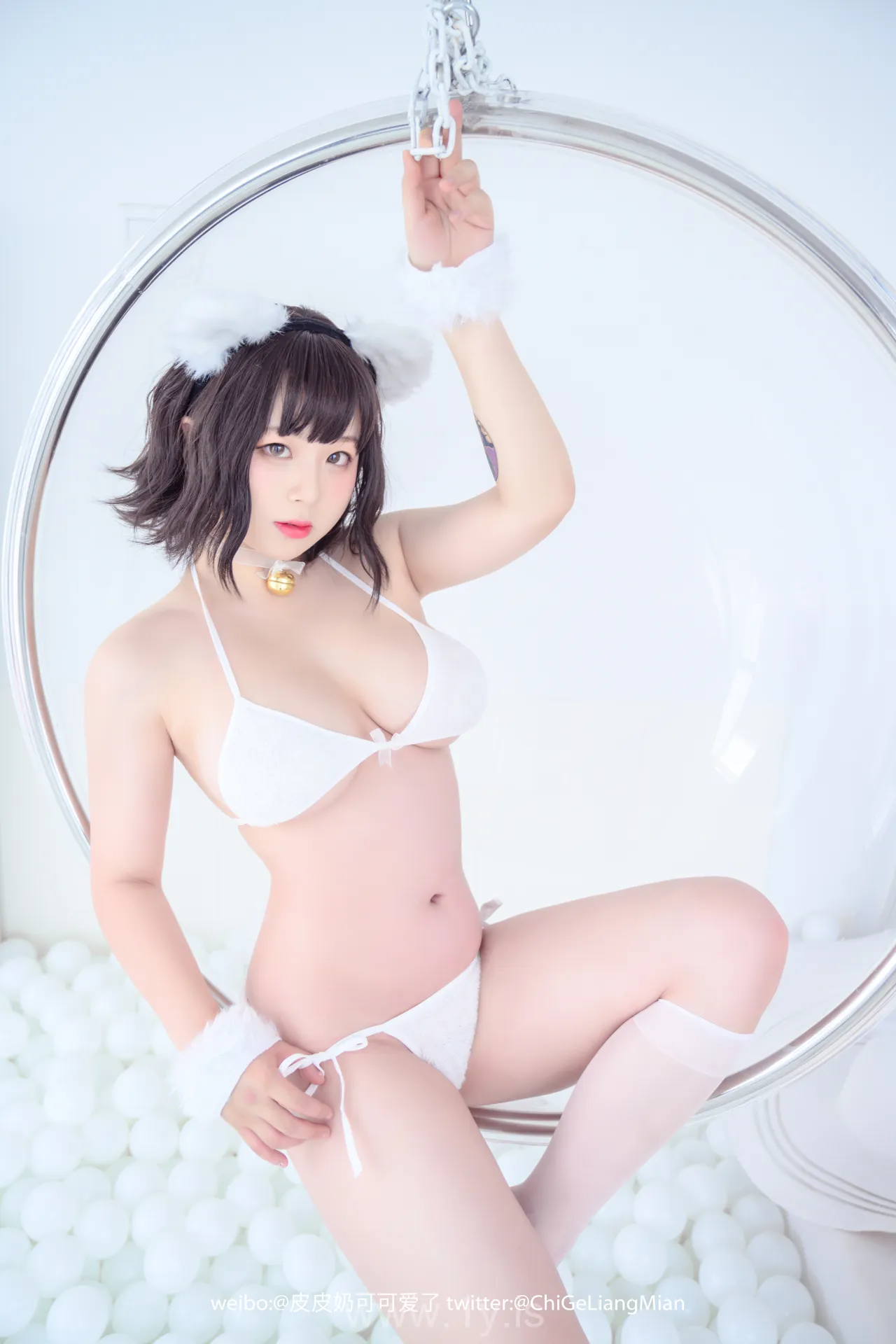 皮皮奶可可爱了啦 VOL.01白猫