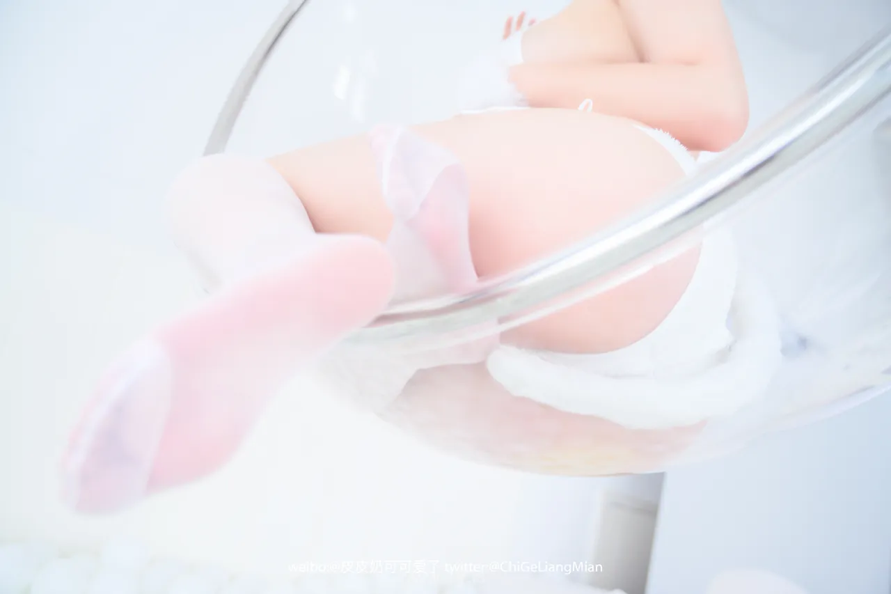 皮皮奶可可爱了啦 VOL.01白猫