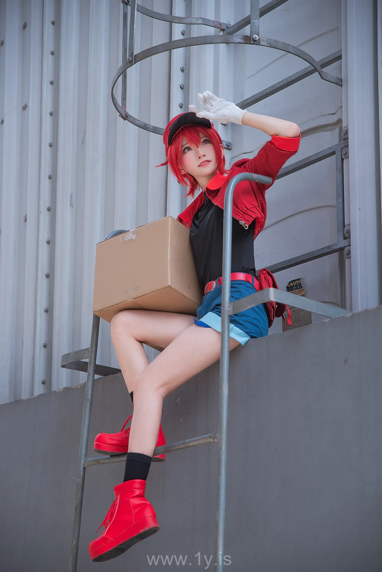 绮太郎 工作细胞2