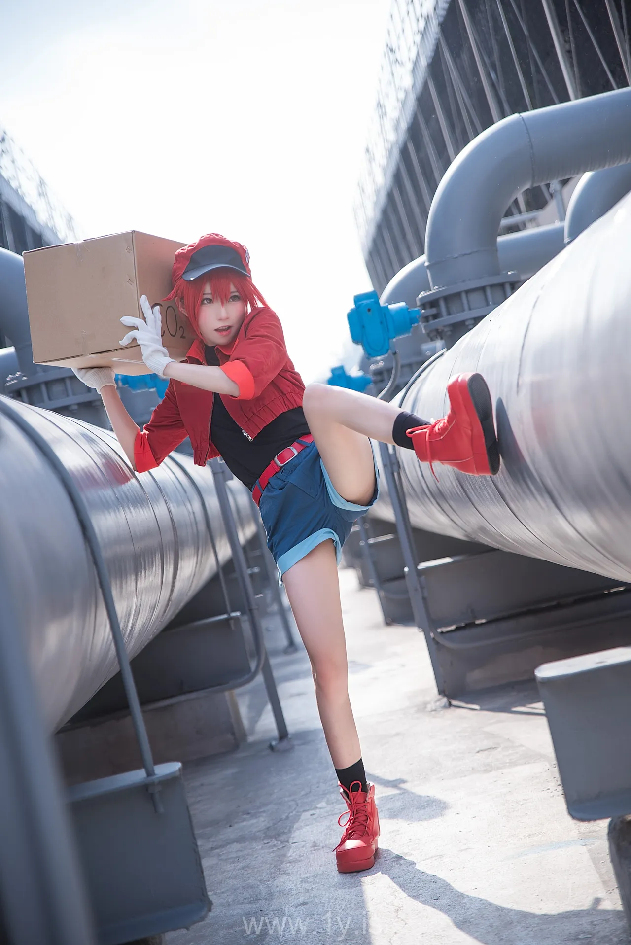 绮太郎 工作细胞2