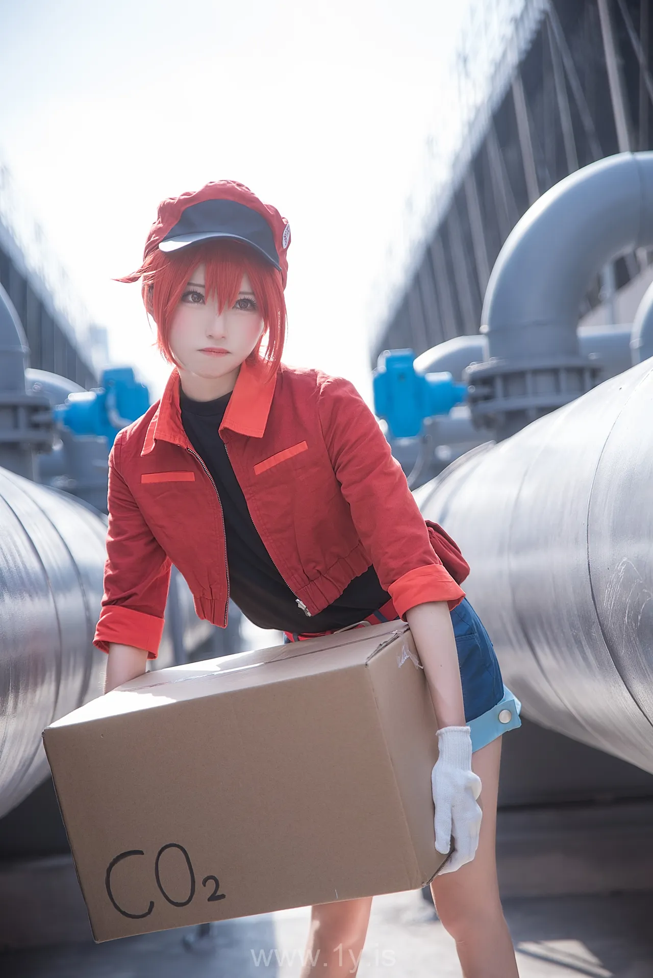 绮太郎 工作细胞2