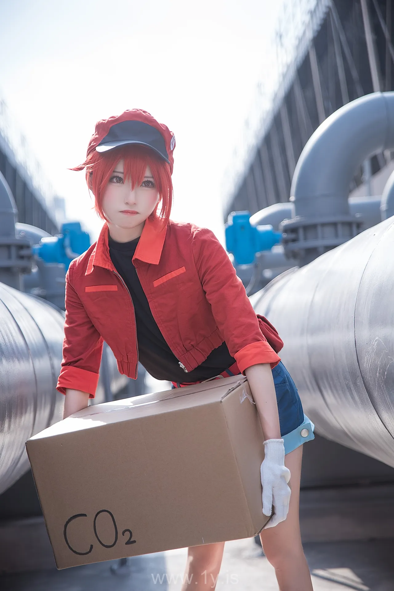 绮太郎 工作细胞2