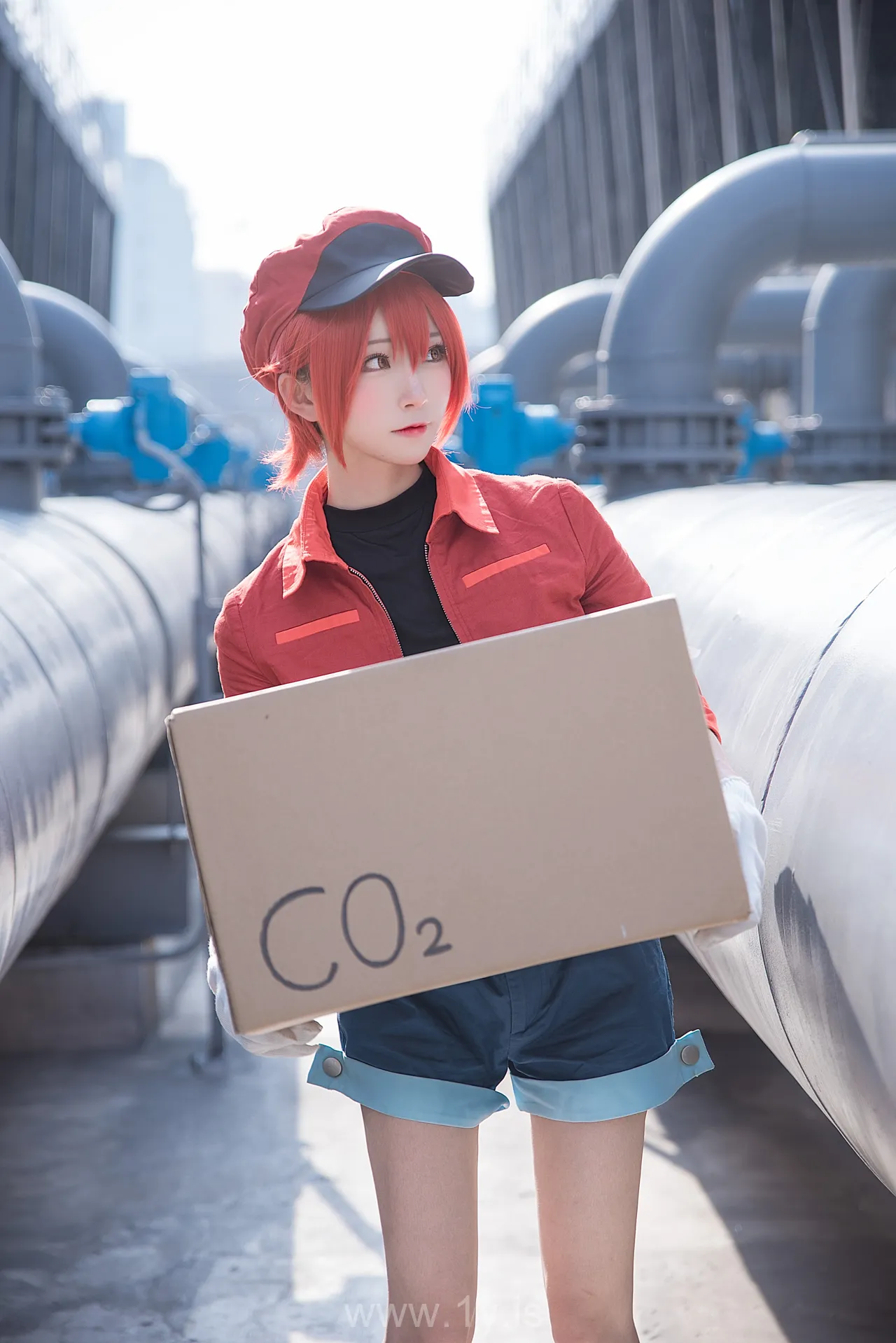 绮太郎 工作细胞2