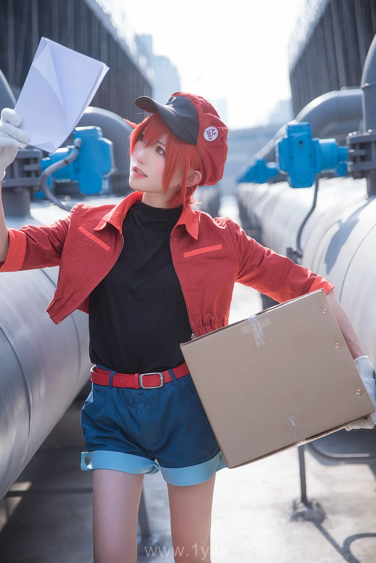 绮太郎 工作细胞2