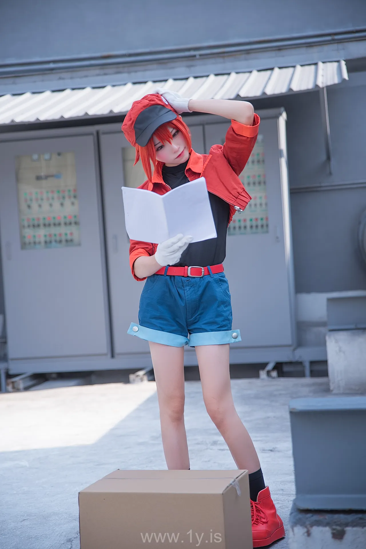 绮太郎 工作细胞2