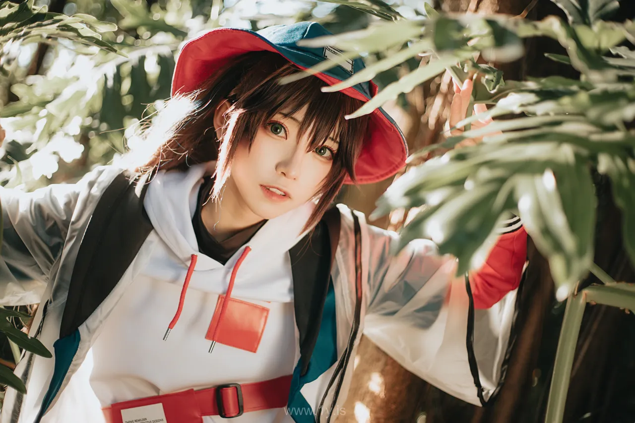 绮太郎 明日方舟蛇屠箱