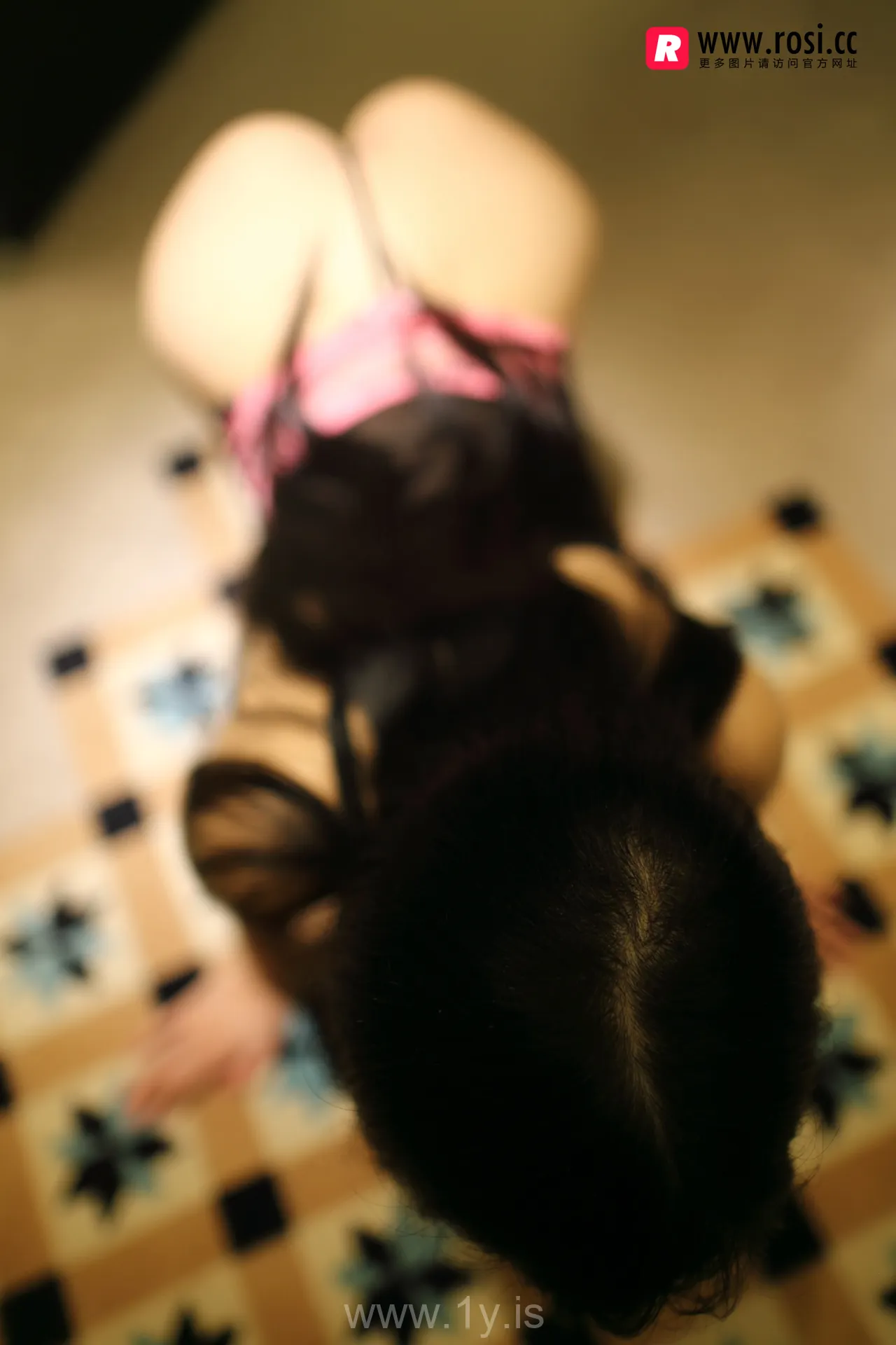 ROSI NO.2060