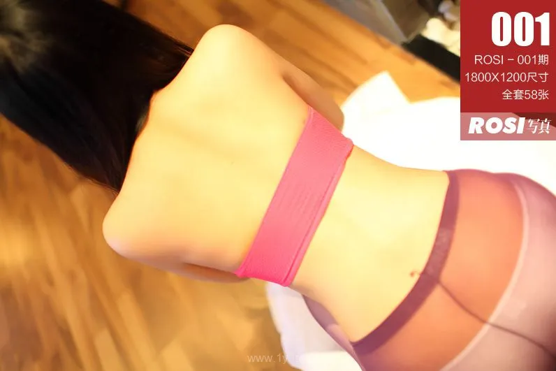ROSI NO.001 Pink Stockings