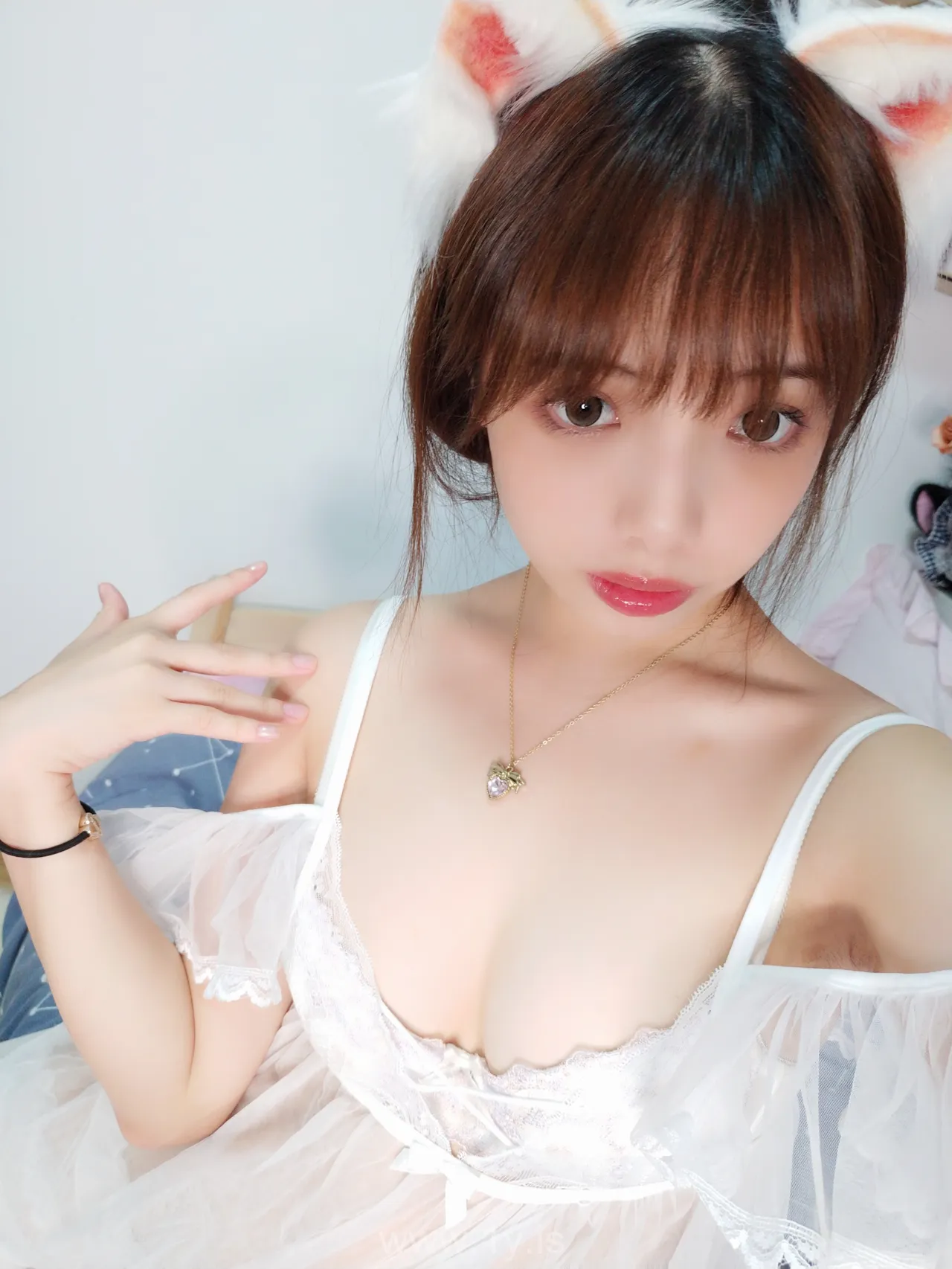 雯妹不讲道理 NO.0031号本白猫