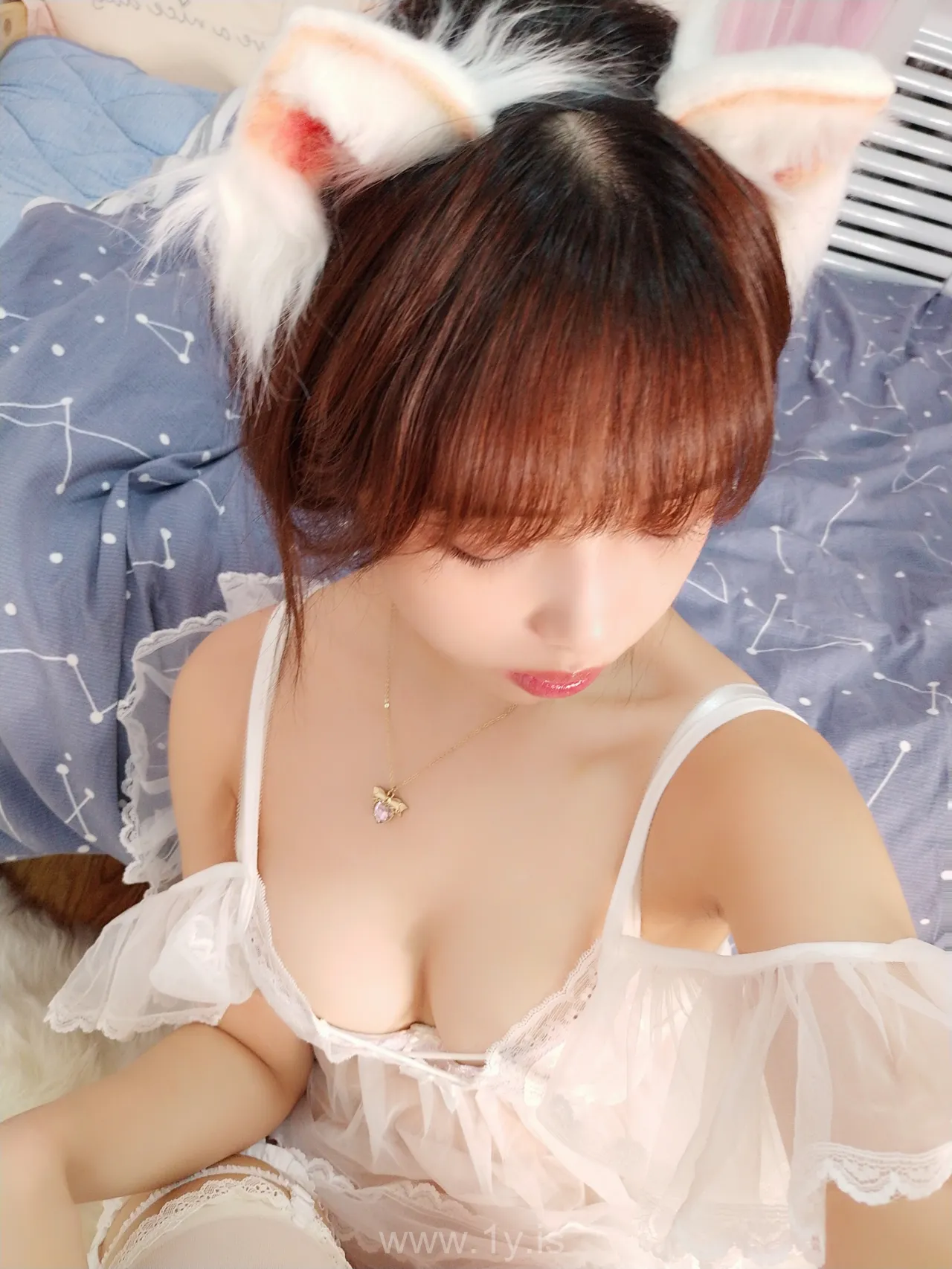 雯妹不讲道理 NO.0031号本白猫